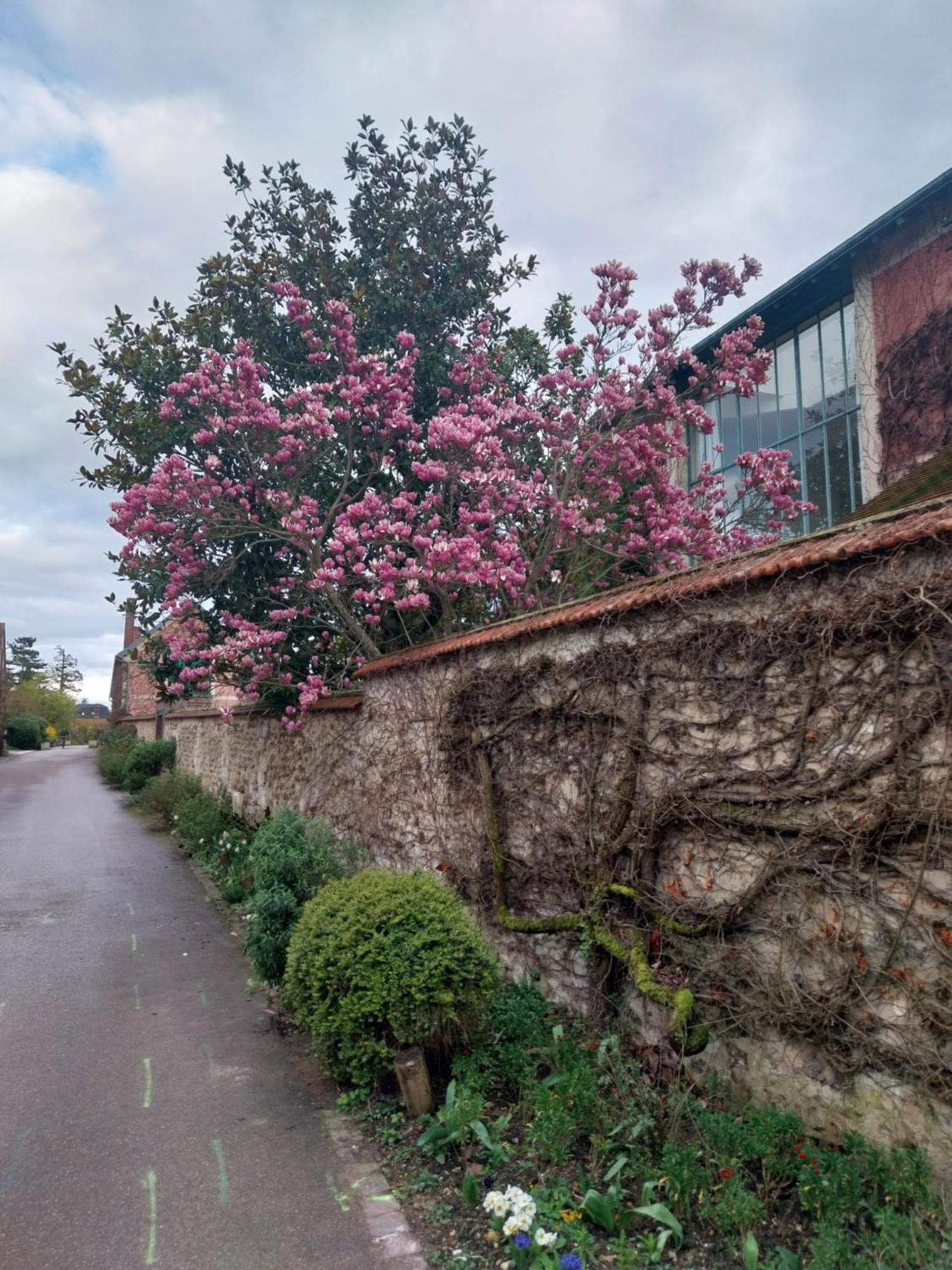 Le Prieure Reposant Otel Port-Villez Dış mekan fotoğraf